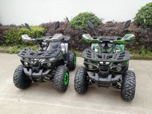 Квадроцикл GreenCamel Атакама T520 (60V 1500W R8 Дифференциал)