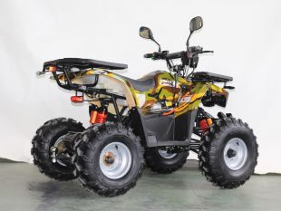 Квадроцикл GreenCamel Атакама T420 (60V 1500W R8 Дифференциал) пониженная