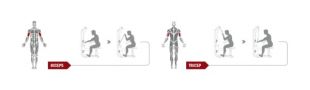 Бицепс-машина Spirit Fitness DWS117-U2