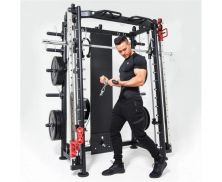 Мультистанция, машина Смита DFC Gorilla Sport