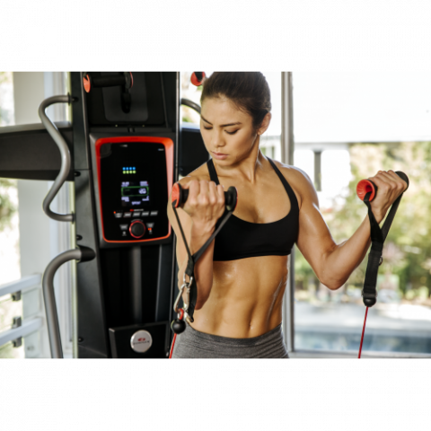 Мультистанция Bowflex HVT
