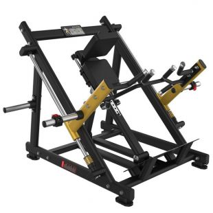 Тяга на спину стоя Gymmaster EK575