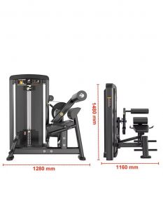 Пресс-машина/разгибание спины Insight Fitness BH35
